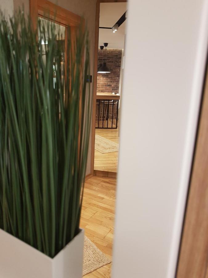 Tesla 3 Apartment Novi Sad Exteriör bild